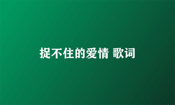 捉不住的爱情 歌词