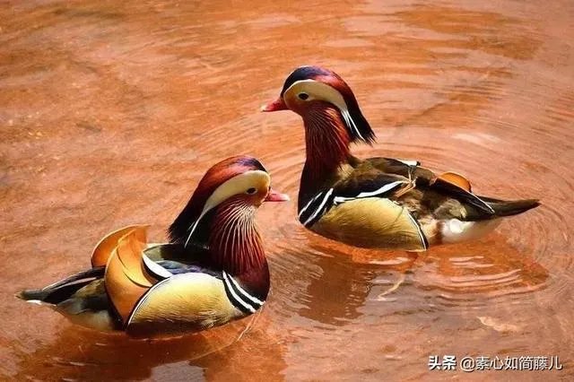 有人说“古代三妻四妾实属正常,并不能说他们就是渣”,你赞同么?