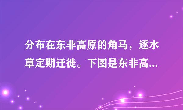分布在东非高原的角马，逐水草定期迁徙。下图是东非高原马赛马拉和塞伦盖蒂的降水资料及角马在两地之间的迁徙路线。读图，完成下列问题。（1）比较马赛马拉和塞伦盖蒂两地气候降水特征的异同。（2）简析角马在马赛马拉和塞伦盖蒂之间迁移的原因。（3）指出2018年11月至2019年3月角马群的迁徙方向。