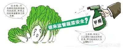 如何识别出甲醛白菜?