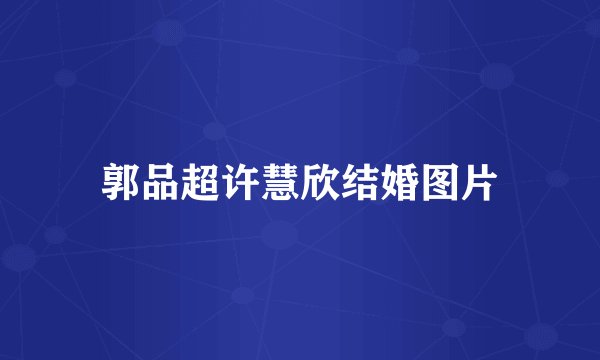 郭品超许慧欣结婚图片
