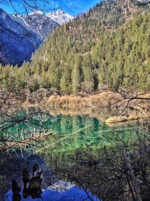 像四川话火炮的官话有什么？