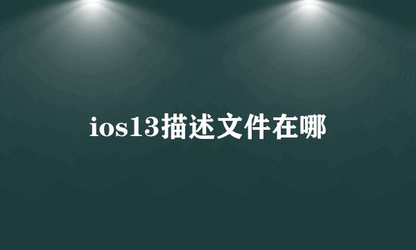 ios13描述文件在哪