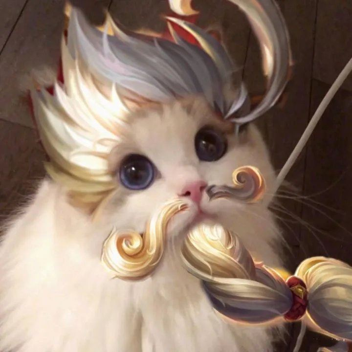 《王者荣耀》猫咪接头头像大全