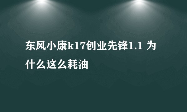 东风小康k17创业先锋1.1 为什么这么耗油