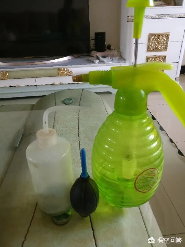 给多肉浇水的秘诀是什么？