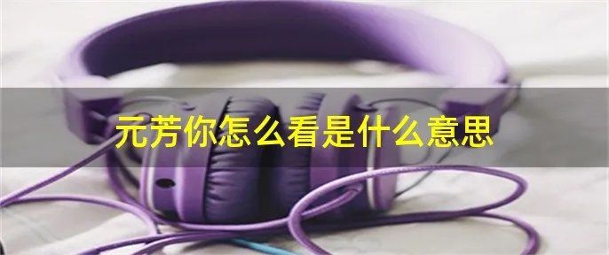 元芳你怎么看是什么意思
