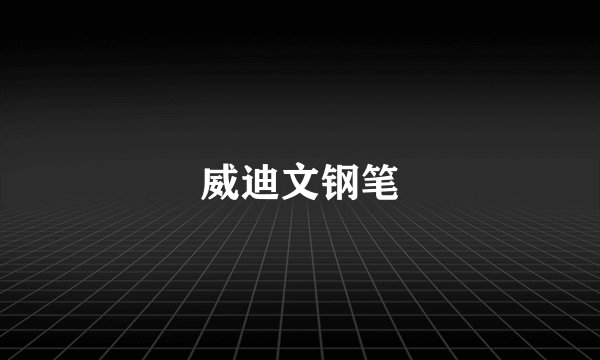 威迪文钢笔