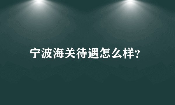 宁波海关待遇怎么样？