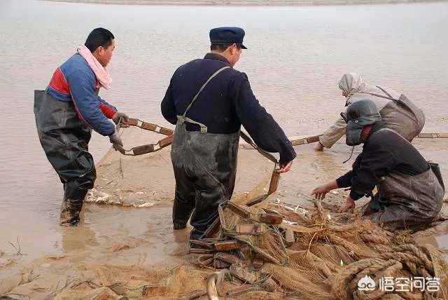 黄河水变清对下游生态是好事还是坏事？