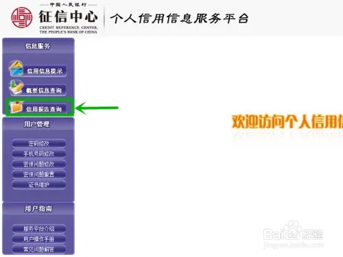 网上怎么查询个人征信系统报告