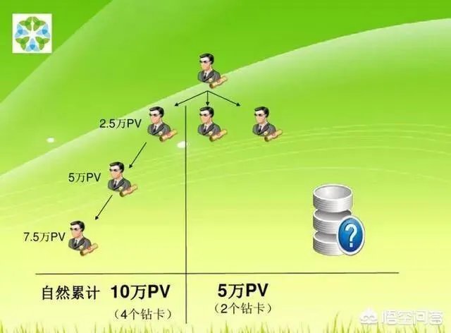 绿叶到底是不是传销?