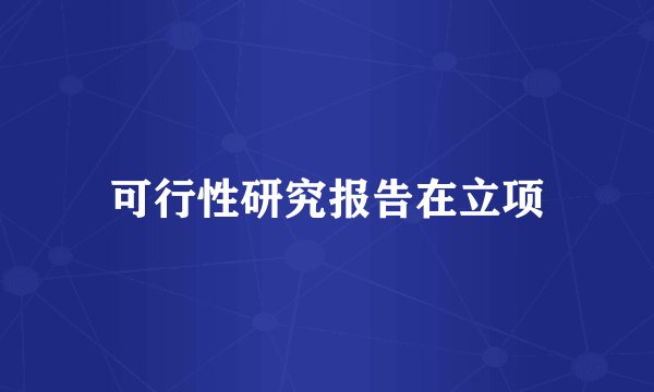 可行性研究报告在立项
