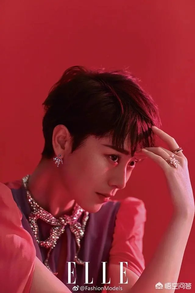 如何评价,东方卫视《老总来了》?