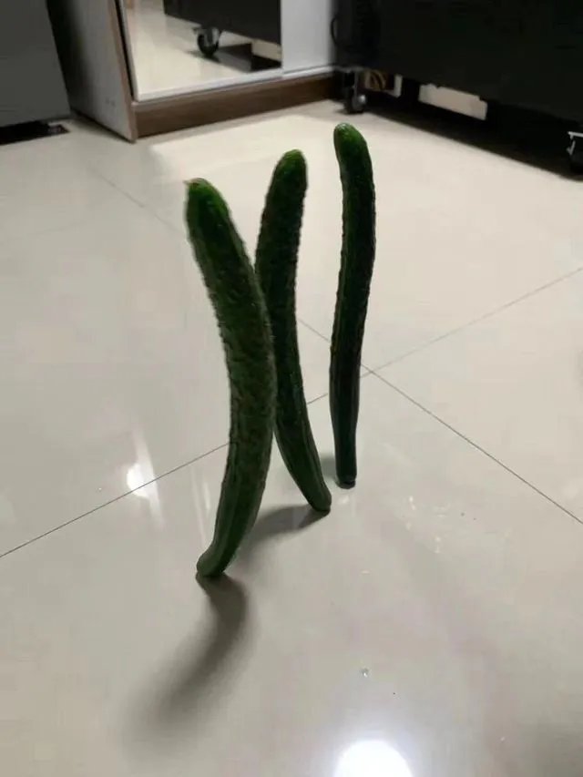 昨天“立扫把”，今天倒立上厕所？沙雕网友的脑洞有多大！