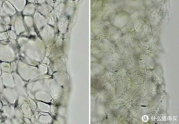 日系进口厨刀知多少 篇三：日系厨刀钢材选择解惑
