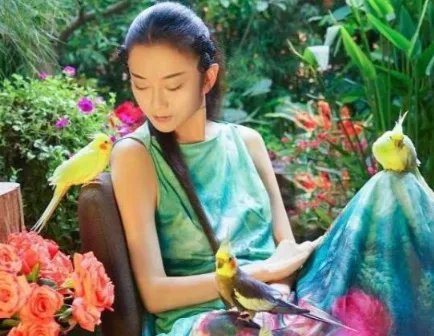 杨丽萍的豪华宫殿被查，内部肮脏不堪，网友直呼封的好，究竟咋回事？