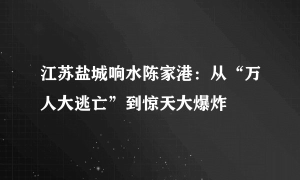 江苏盐城响水陈家港：从“万人大逃亡”到惊天大爆炸