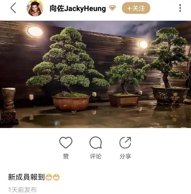 郭碧婷是否怀孕？