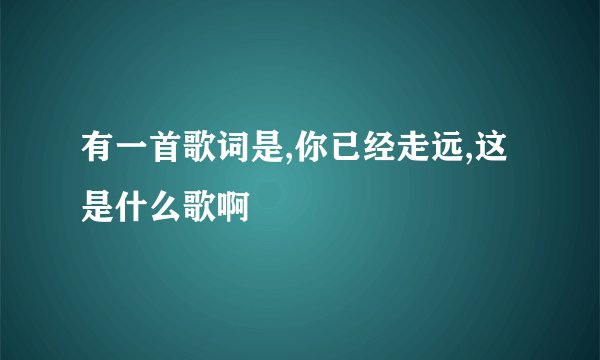 有一首歌词是,你已经走远,这是什么歌啊