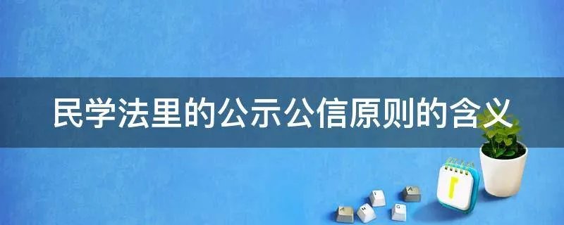 民学法里的公示公信原则的含义