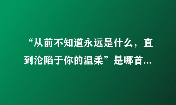 “从前不知道永远是什么，直到沦陷于你的温柔”是哪首歌的歌词？