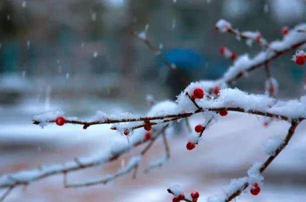 春分的寓意及内涵 春分有什么美好象征