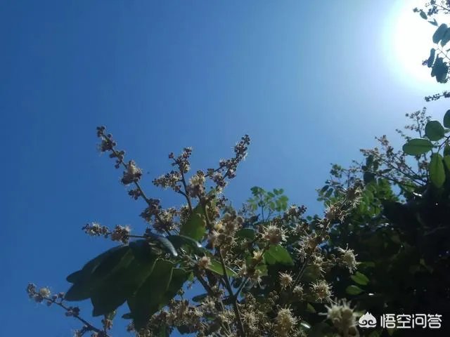 如果你的银行卡里突然多了50个亿,你晚上能睡着吗?