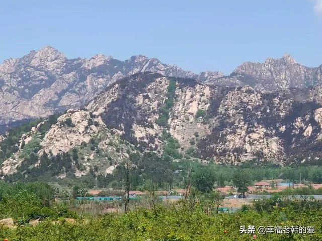 青岛小珠山火灾过火多少公顷？