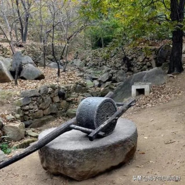 一日游去哪里好玩?