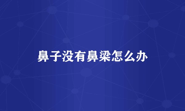 鼻子没有鼻梁怎么办