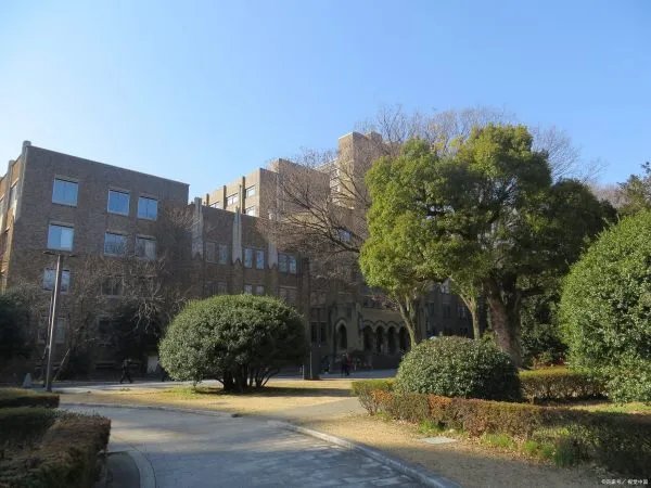 大学教育中，普遍存在的问题有哪些？