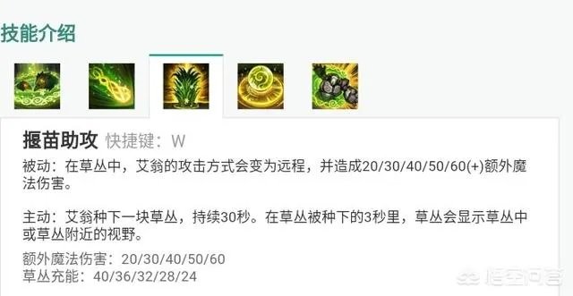 LOL中哪位英雄的技能最令你想吐槽？