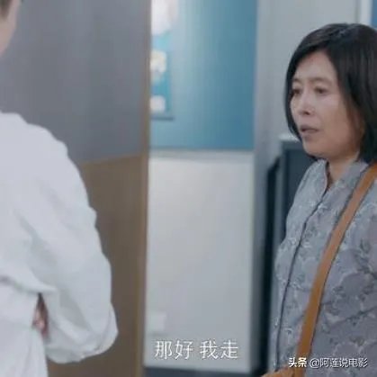 《安家》，六六编剧，挺好，不过怎么又有一段不合常理的母女情仇？