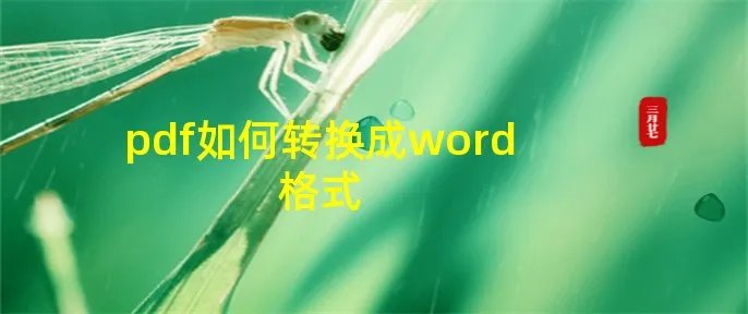 pdf如何转换成word格式