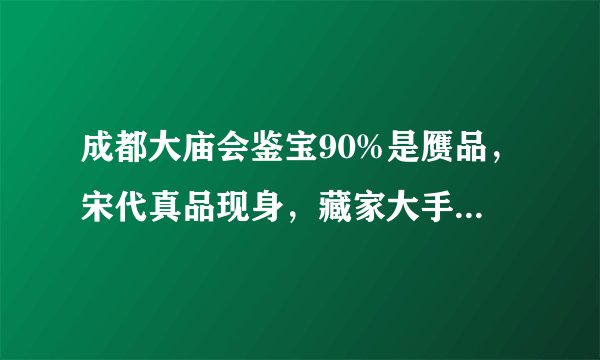 成都大庙会鉴宝90%是赝品，宋代真品现身，藏家大手一挥：捐了！