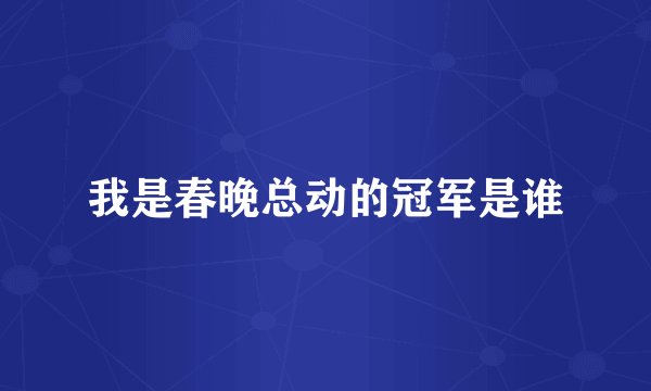 我是春晚总动的冠军是谁