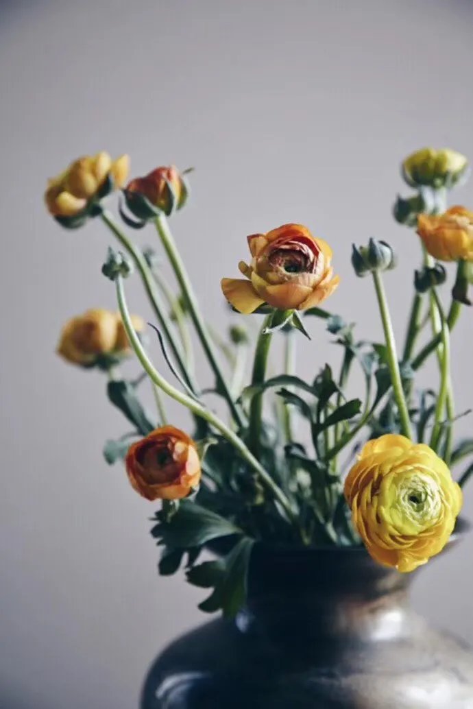 不用100块,教你如何布置一个温馨浪漫的家