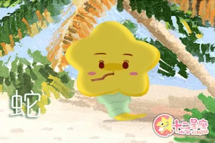 2013年属什么生肖年