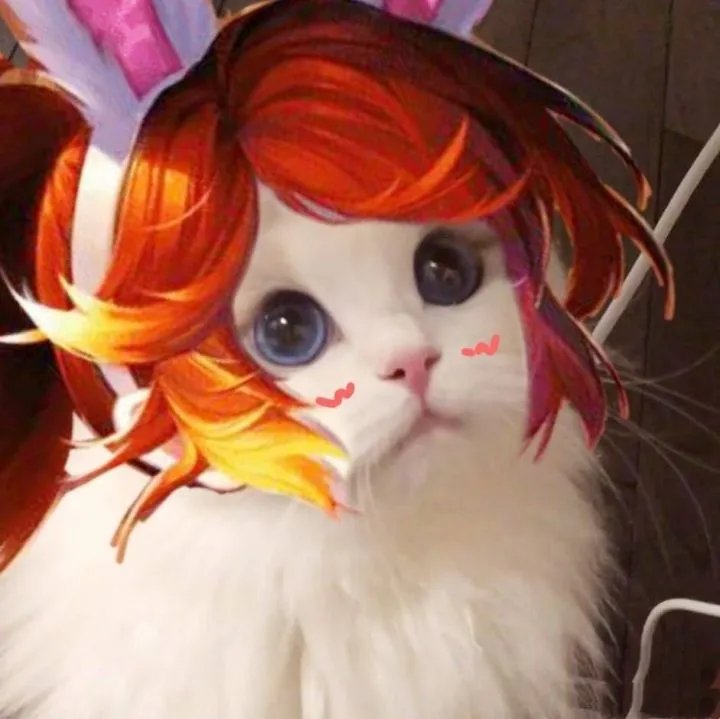 《王者荣耀》猫咪接头头像大全