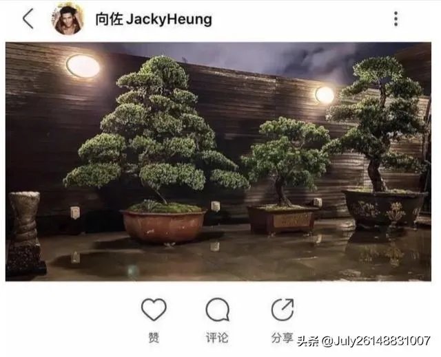 郭碧婷是否怀孕？