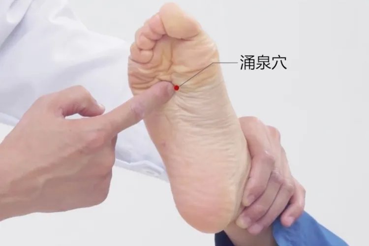 长寿点的准确位置