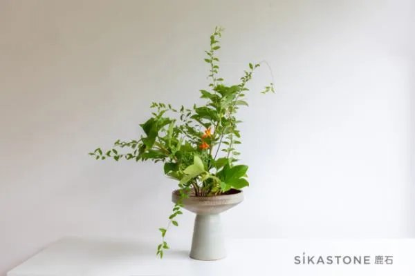 专业的花艺培训学校有么？我想学习一下插花