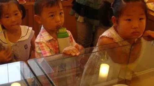 蛋糕店的利润与风险分别是怎么样的？