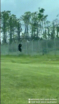 三上老师教你打篮球 后面比高低的午间动态图