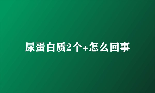 尿蛋白质2个+怎么回事