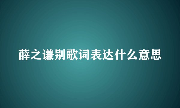 薛之谦别歌词表达什么意思
