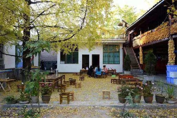 求安吉农家乐排名前十，哪些比较值得去？