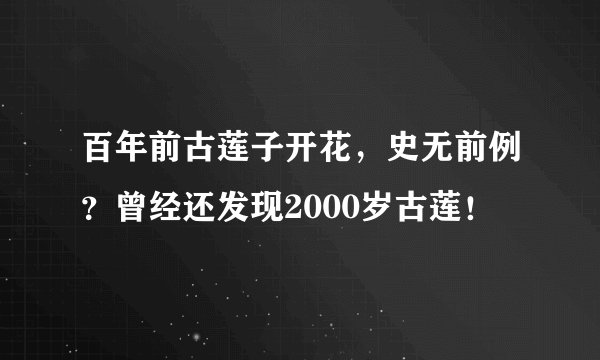 百年前古莲子开花，史无前例？曾经还发现2000岁古莲！