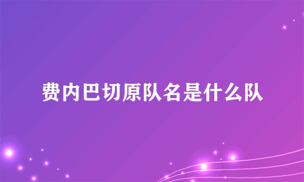 费内巴切原队名是什么队